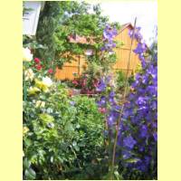 Rosengarten-05
