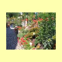 Rosengarten-10