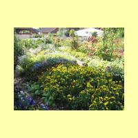 Rosengarten-13