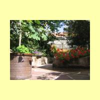 Rosengarten-15
