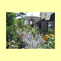 Rosengarten-18